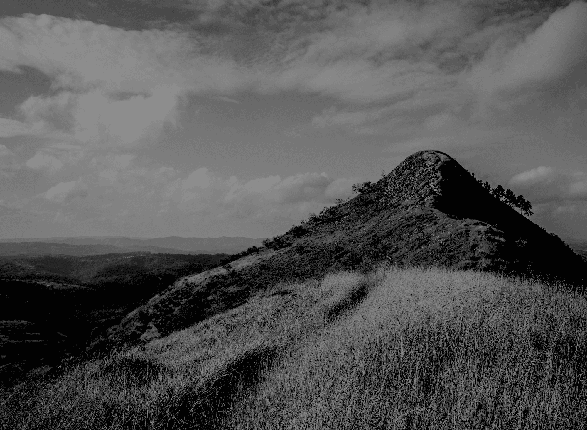 A Morning on Crow Hill