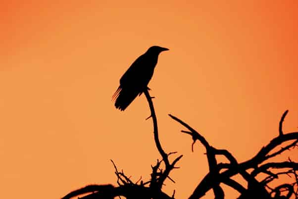 on famous monsters featured image