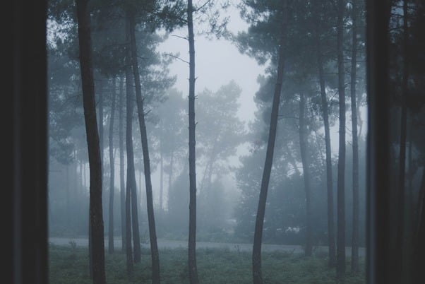 the english dark featured image