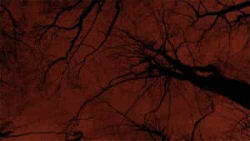 the fable of isabella 