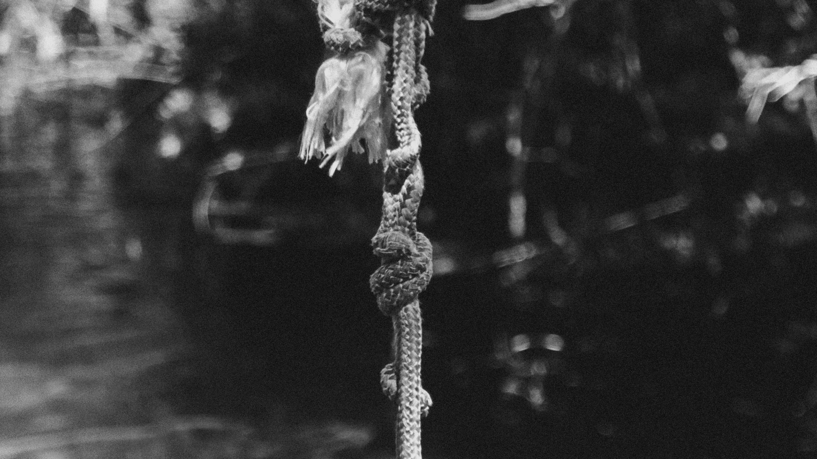 Where the litte boy drowned