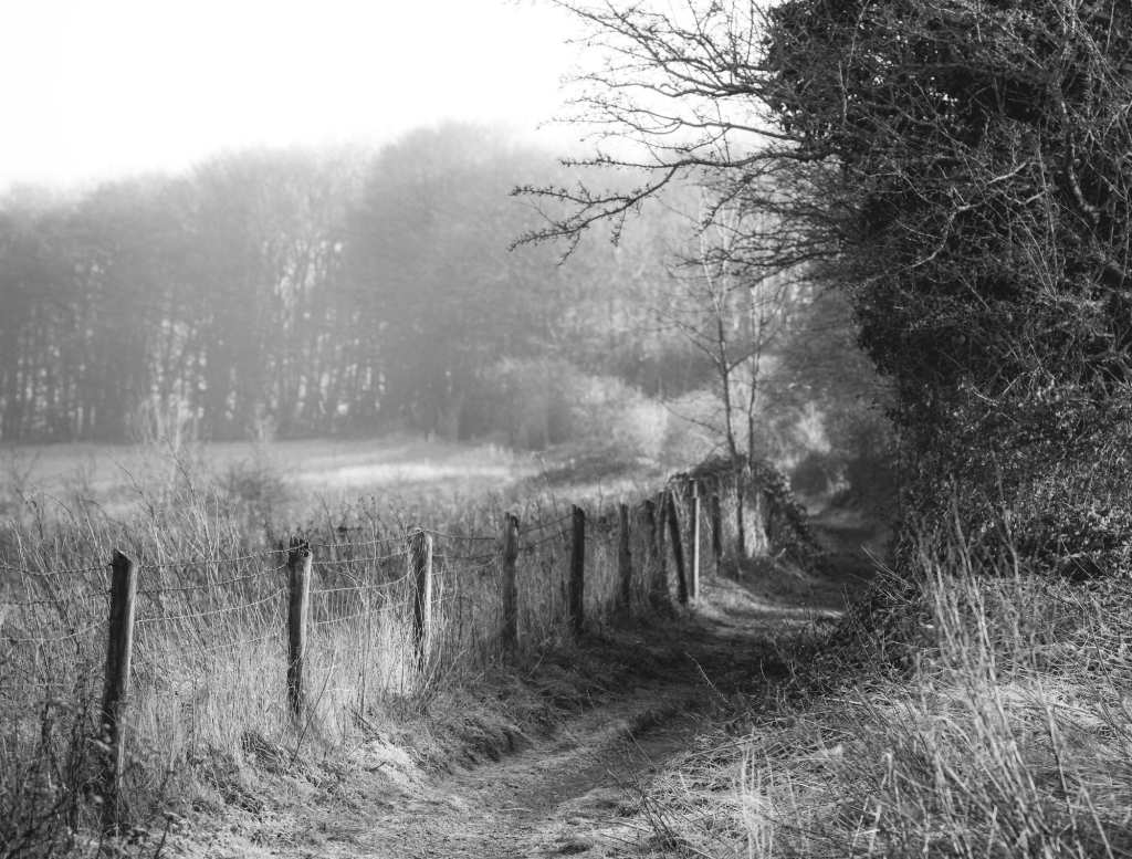 countryside photo by Annie Spratt