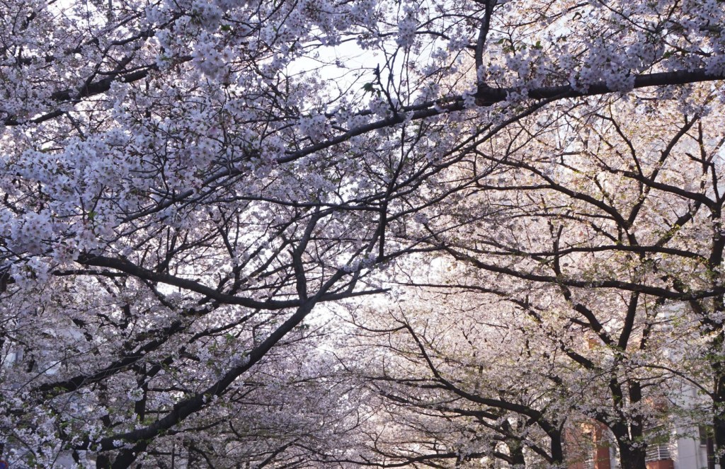 That Last Kokeshi Doll You Bought