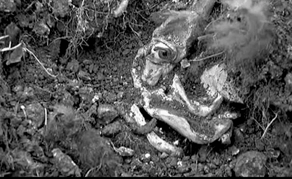 Blood on Satan’s Claw (1971)