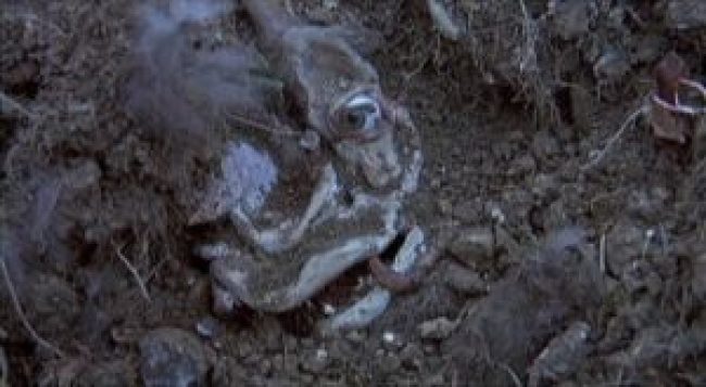 the blood on satan's claw 1971