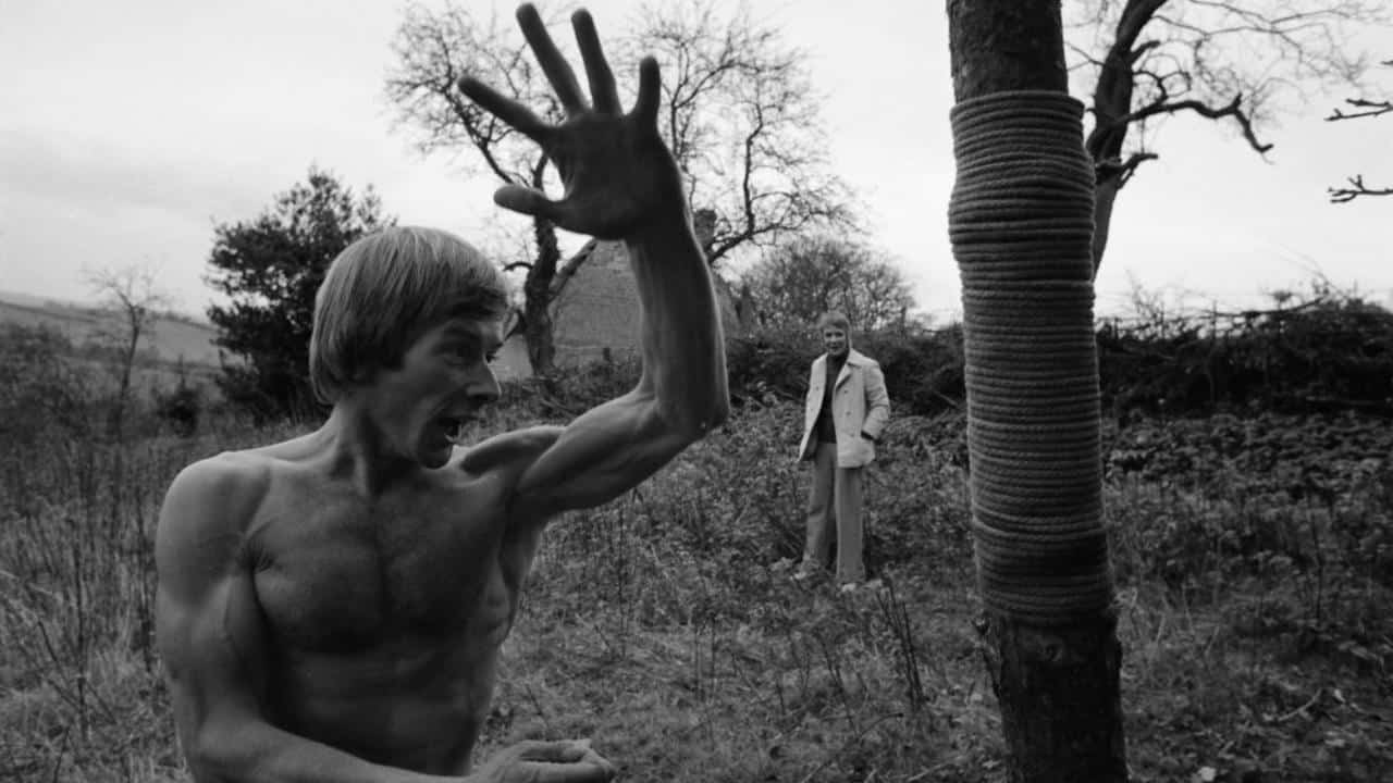 robin redbreast 1970
