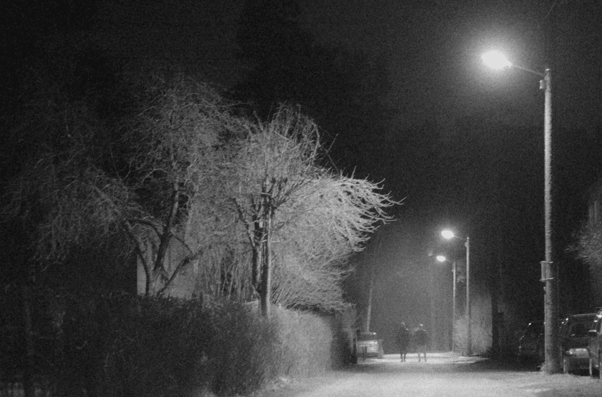 The Female Experience of Fear