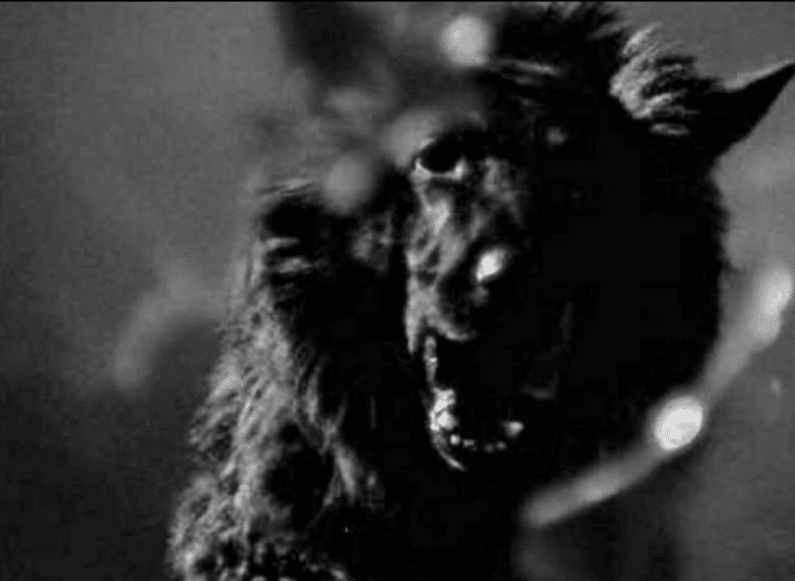 the beast must die (1974)