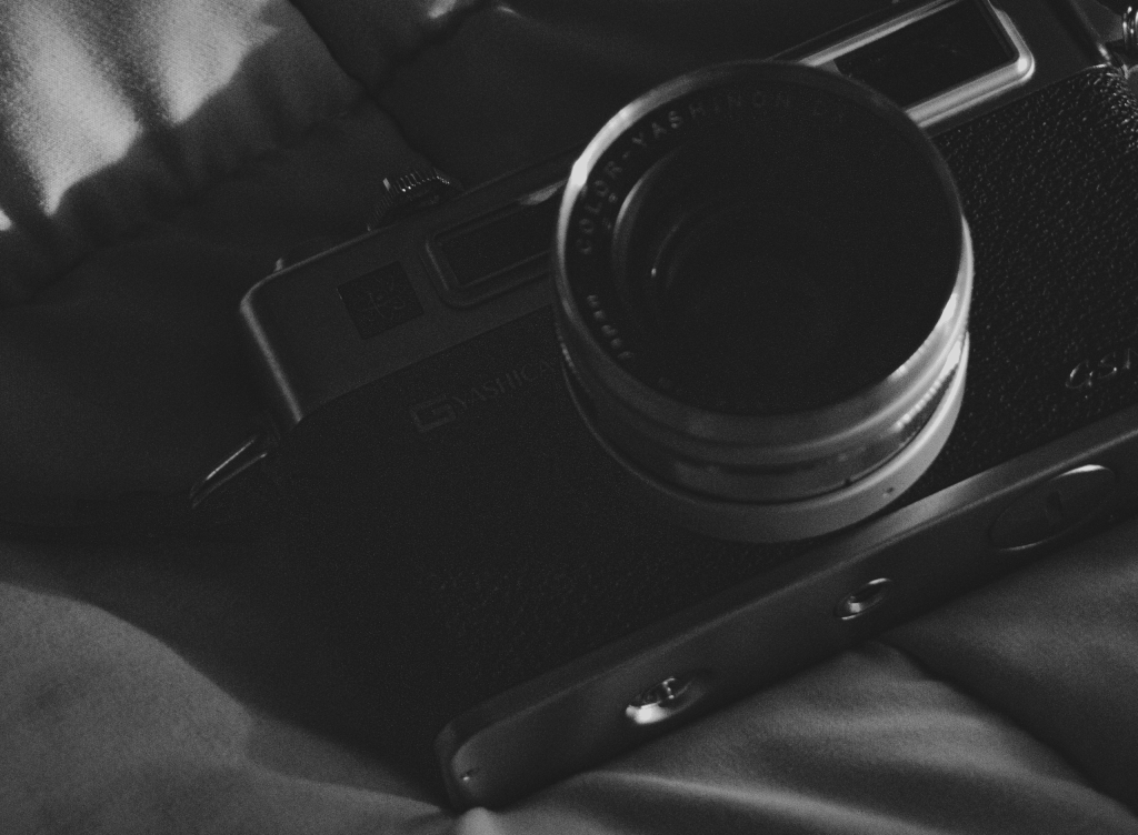 Photograph by Amir Hosseini