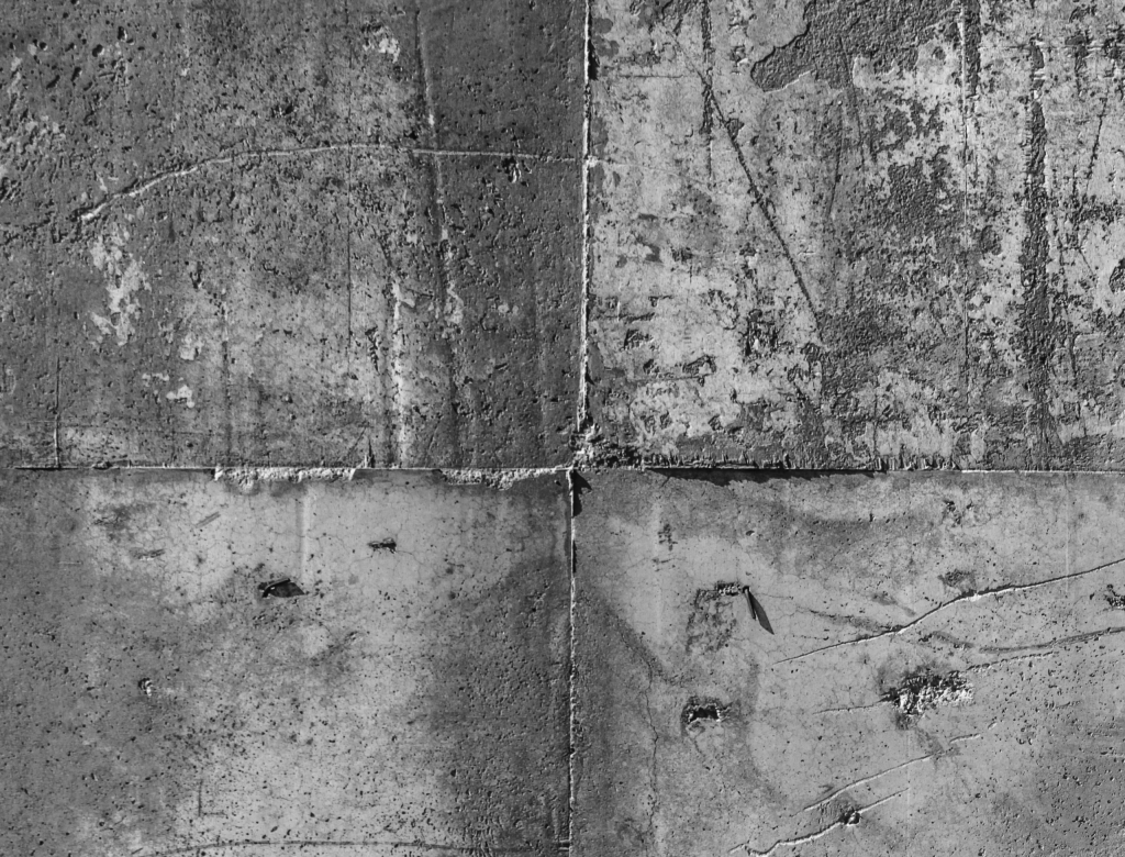 Daughters of the Doctor