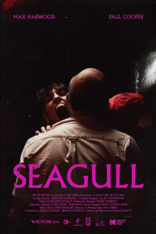 the seagull